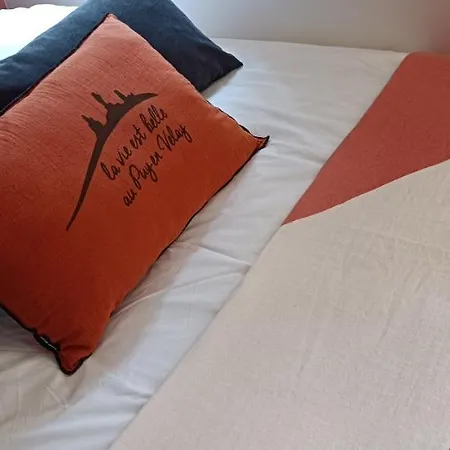 Apartment Le Raphael Centre Historique Le Puy-en-Velay